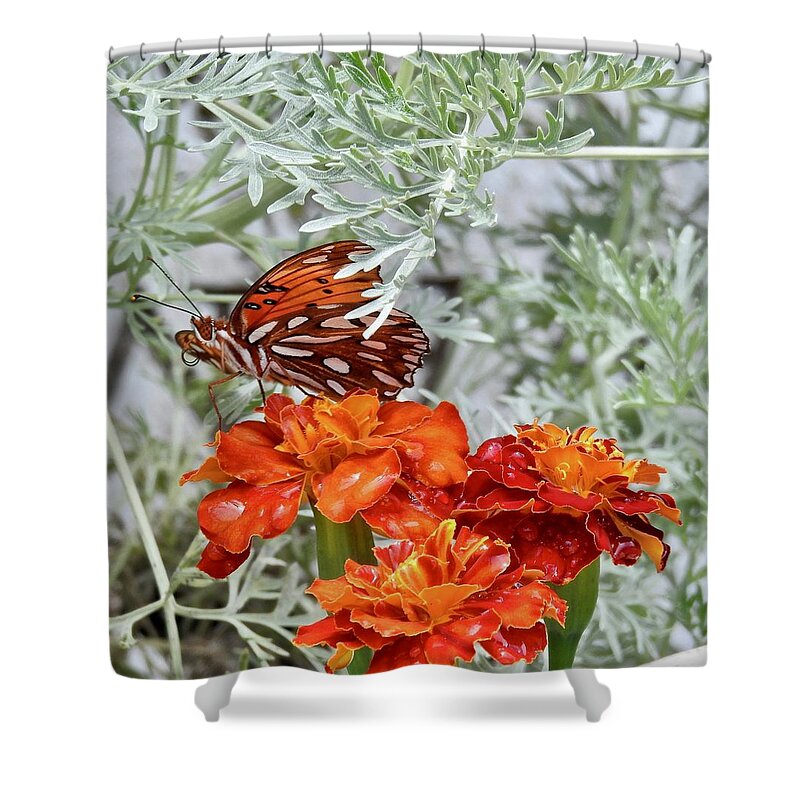 Marigold Butterfly Shower Curtain featuring the photograph Marigold Butterfly by Kathy Chism