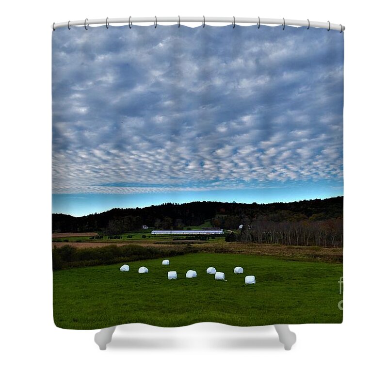 Autumn Shower Curtain featuring the photograph Marshmallow Field by Dani McEvoy