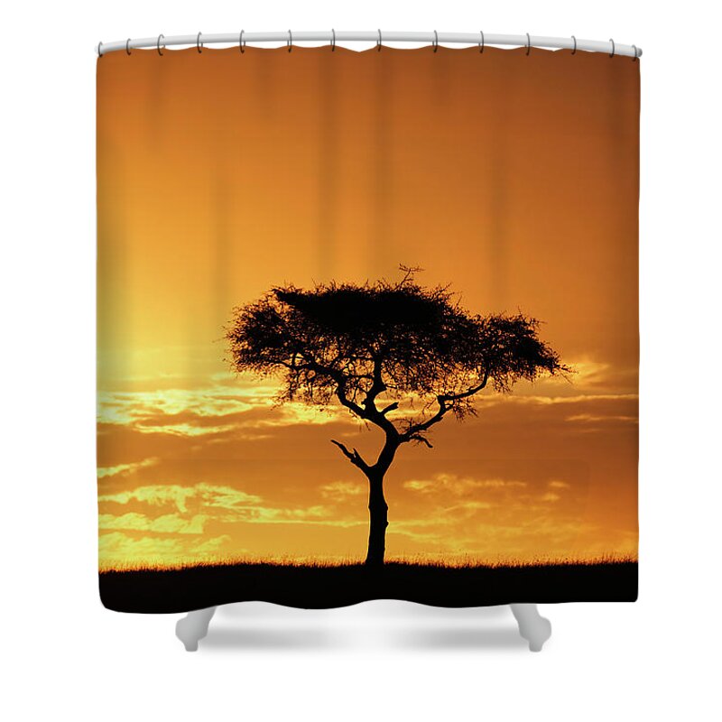 Tranquility Shower Curtain featuring the photograph Masai Mara National Game Reserve, Kenya by William Manning