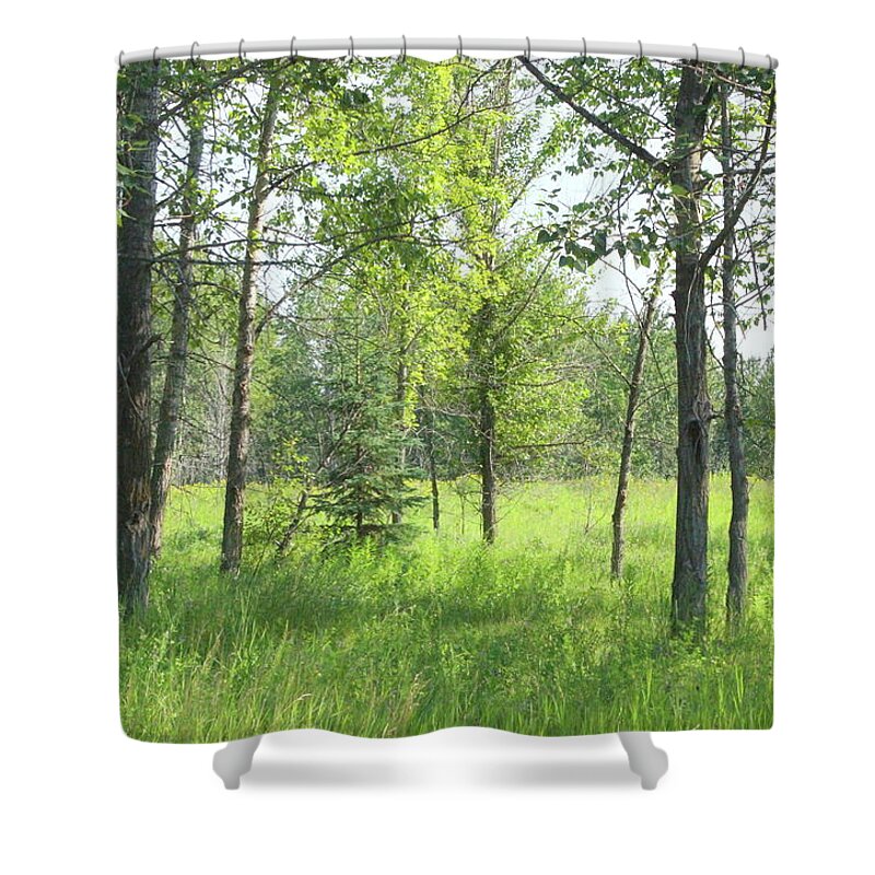 Nature Shower Curtain featuring the photograph Meadow in the Woodlands by Jim Sauchyn