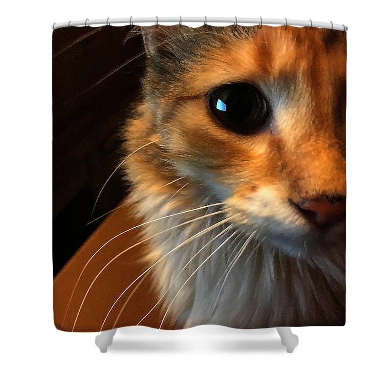 Art Shower Curtain featuring the photograph Mercy by Jeff Iverson
