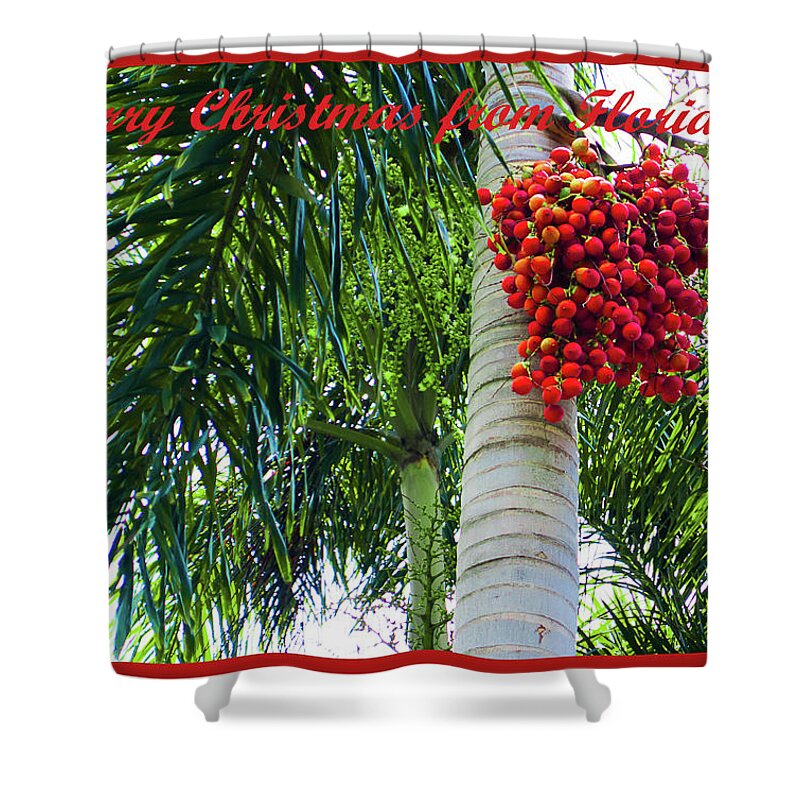 Merry Christmas From Florida Shower Curtain featuring the photograph Merry Christmas from Florida by Susan Molnar