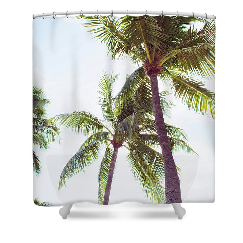 Mexico Shower Curtain featuring the photograph Mexican Palms by Kali Wilson