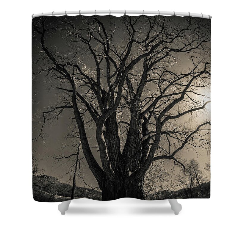 Night Shower Curtain featuring the photograph Midnight Dreary by Phil S Addis
