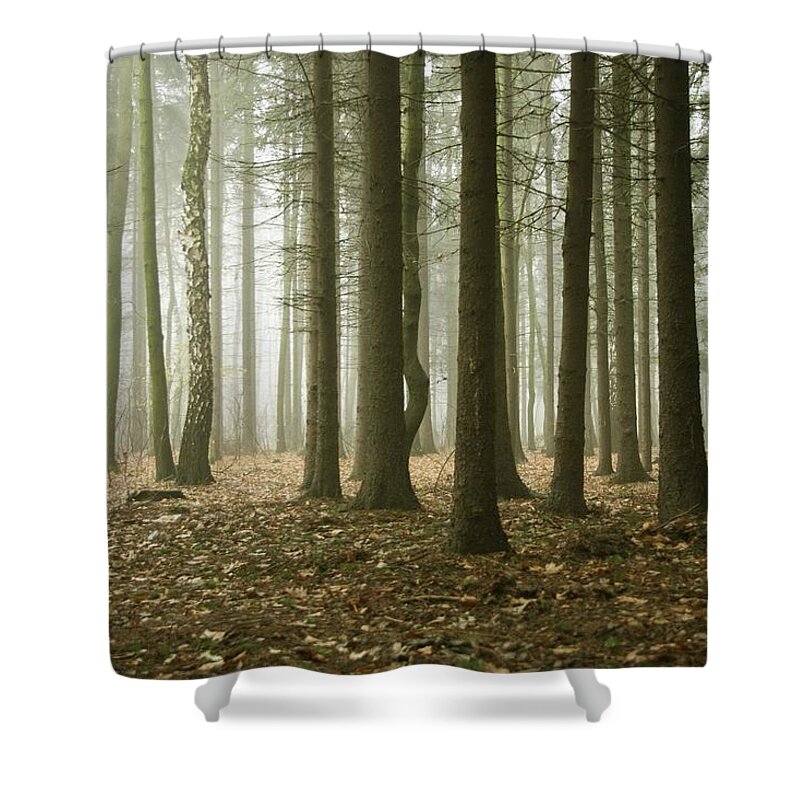 Scenics Shower Curtain featuring the photograph Misty Forest by Macroworld