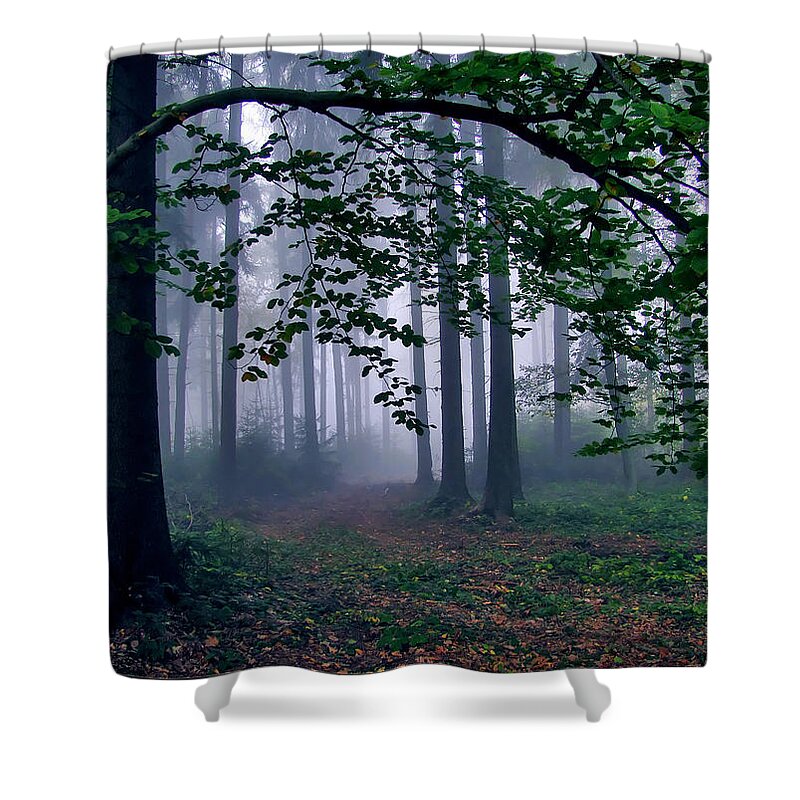 Tranquility Shower Curtain featuring the photograph Misty Forest by Photo - Riana Navrátilová