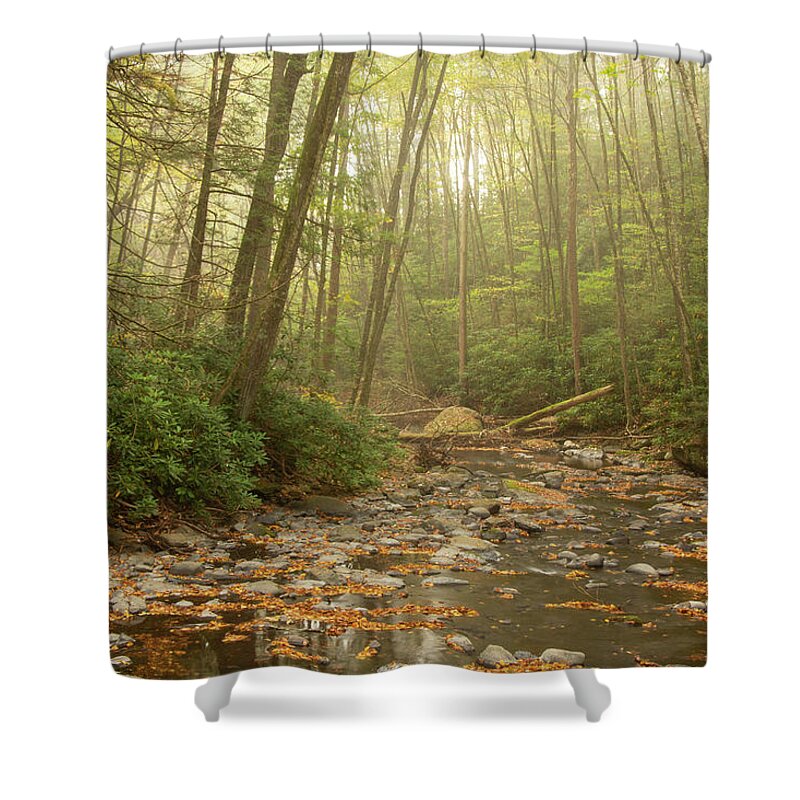 Autumn Shower Curtain featuring the photograph Misty Morn At Dingmans Creek by Kristia Adams