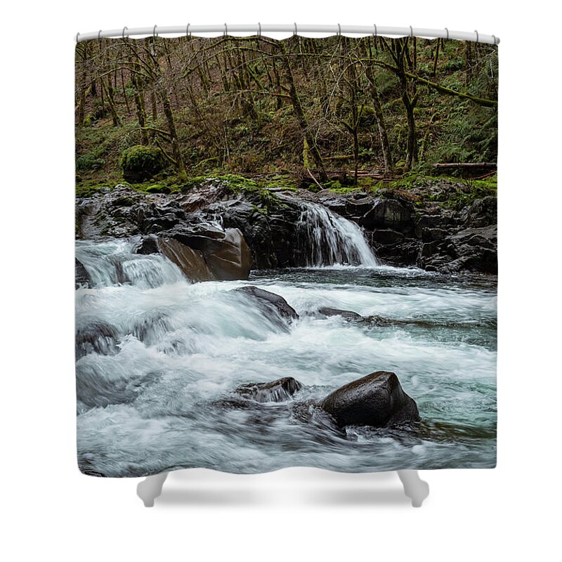 Rivers Shower Curtain featuring the photograph Molalla Cascade by Steven Clark
