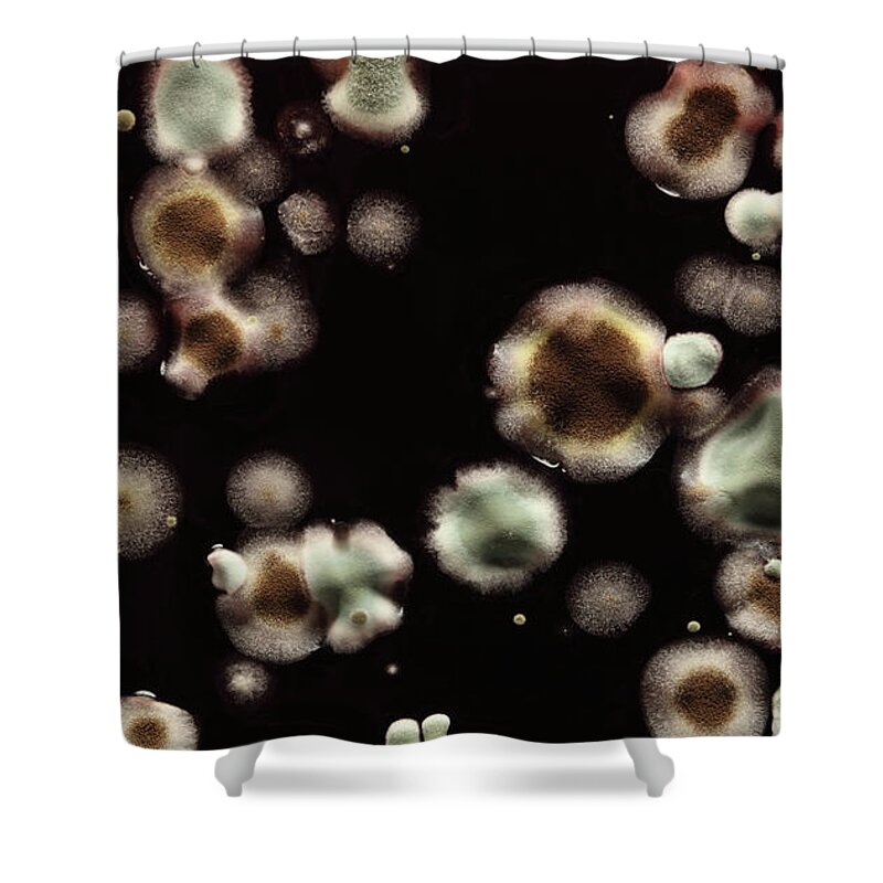 California Shower Curtain featuring the photograph Molds On Liquid by Paul Taylor