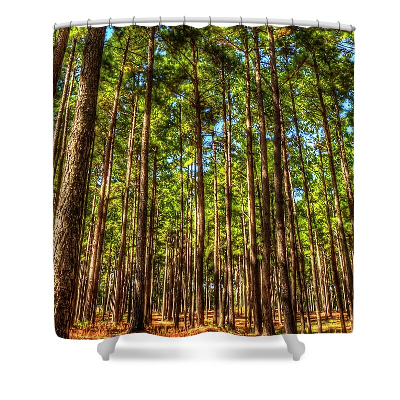 Reid Callaway Pine Tree Images Shower Curtain featuring the photograph Money Growing On Trees 7 Georgia Pine Tree Forest Art by Reid Callaway