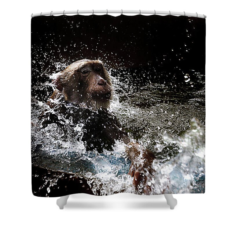Animal Themes Shower Curtain featuring the photograph Monkey In Water by Ekkachai Pholrojpanya