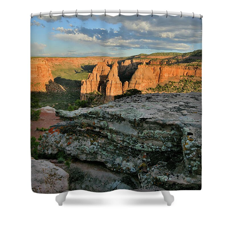 Colorado National Monument Shower Curtain featuring the photograph Monument Canyon from Rim Trail's Edge by Ray Mathis