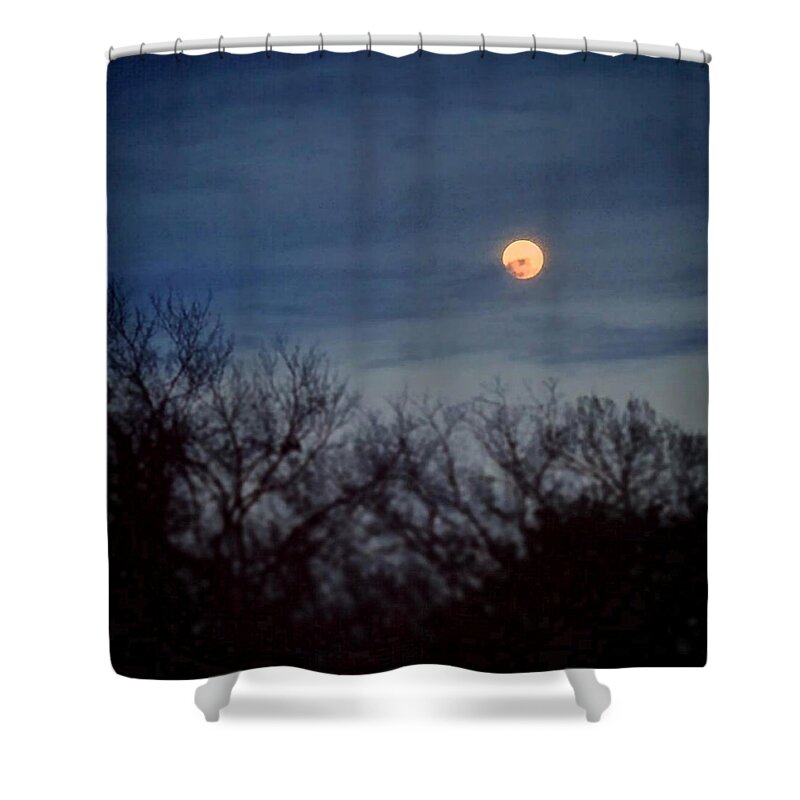 Daniel Shower Curtain featuring the painting Moonrise and Trees by Daniel Nelson