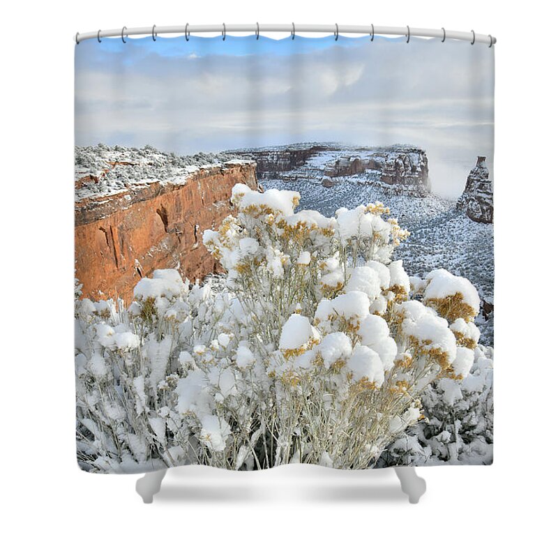 Colorado National Monument Shower Curtain featuring the photograph Morning after Snow at Colorado National Monument by Ray Mathis