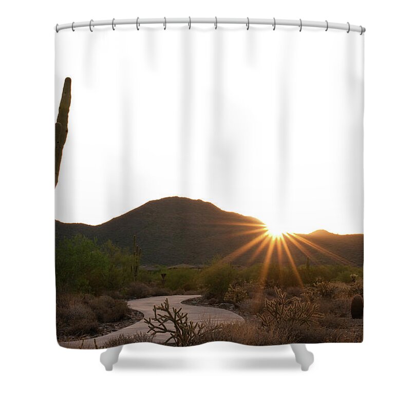 Saguaro Cactus Shower Curtain featuring the photograph Morning Desert Hiking Trail No 1 by Bttoro
