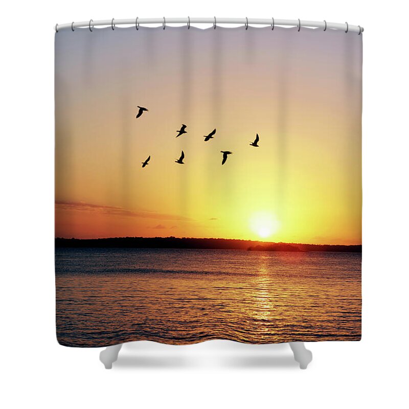 Scenics Shower Curtain featuring the photograph Morning Flight by Hidesy