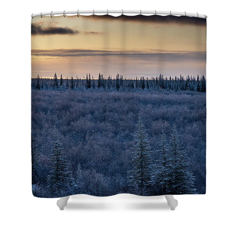 Dawn Shower Curtain featuring the photograph Morning Frost by Mark Hunter