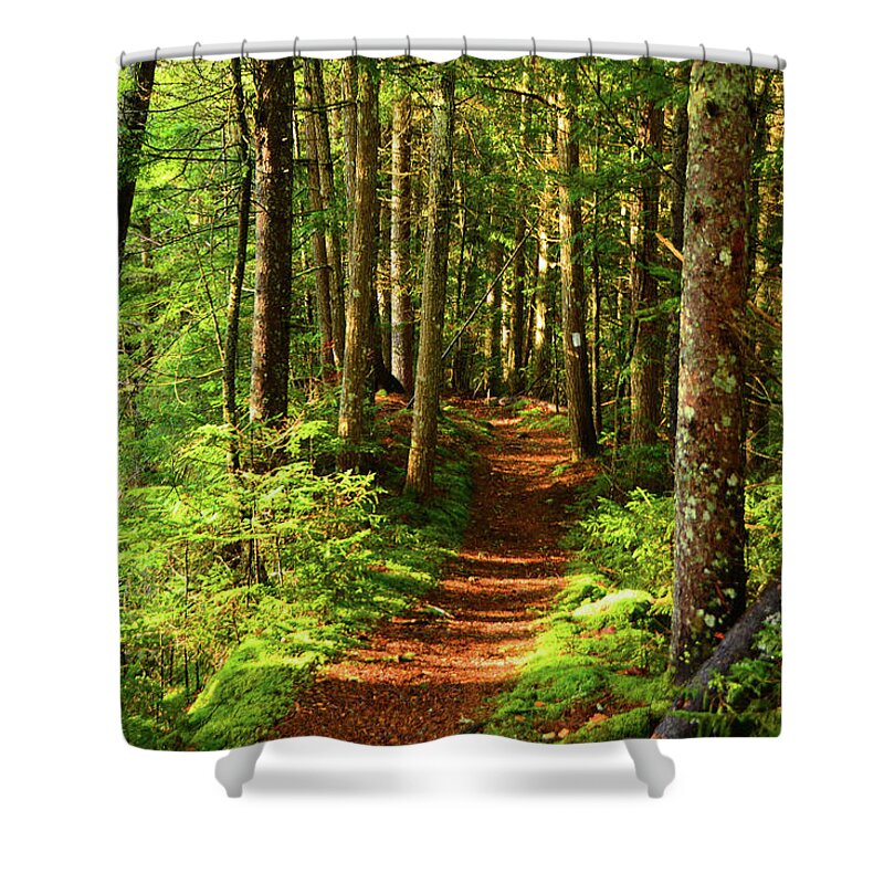 Morning Green Mountain Forest Shower Curtain featuring the photograph Morning Green Mountain Forest by Raymond Salani III