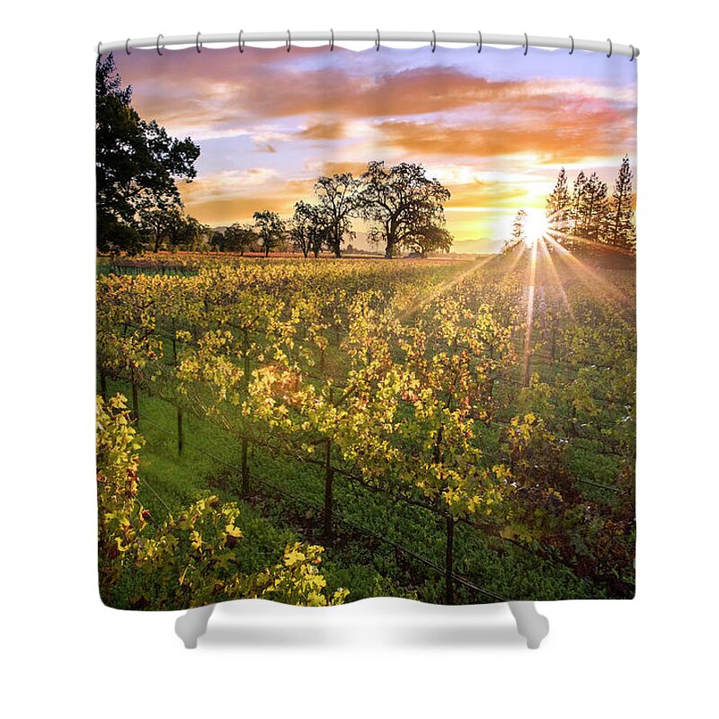 Napa Shower Curtain featuring the photograph Morning in Napa by Jon Neidert