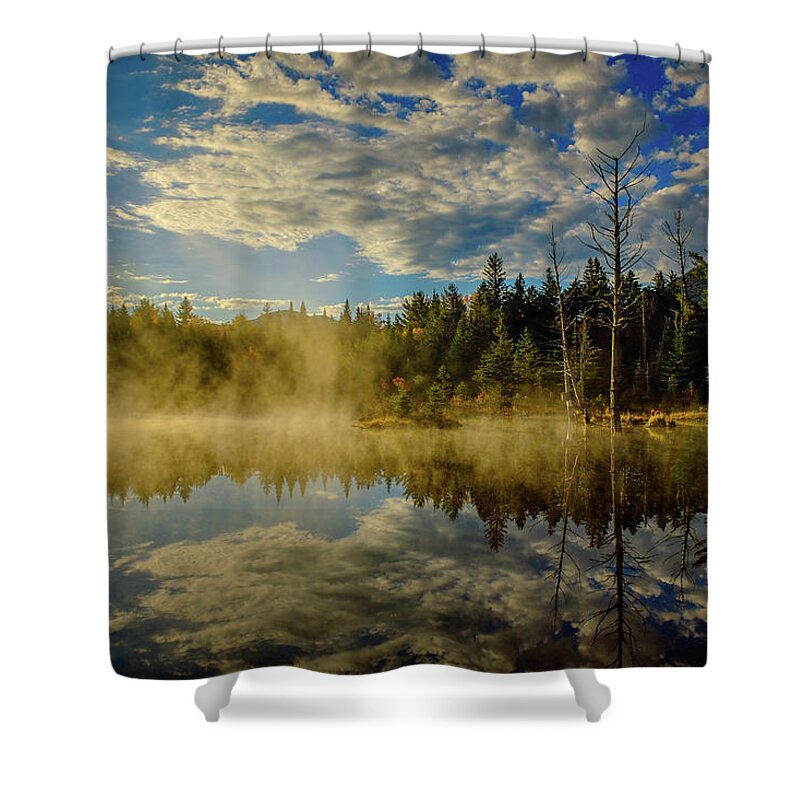 Prsri Shower Curtain featuring the photograph Morning Mist, Wildlife Pond by Jeff Sinon