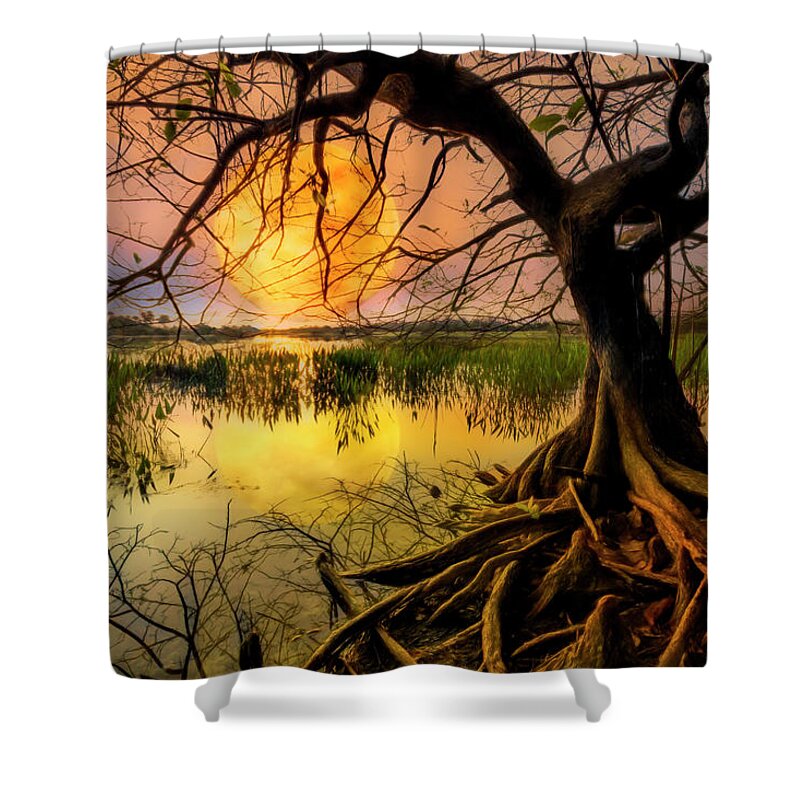 Clouds Shower Curtain featuring the photograph Morning Mystery by Debra and Dave Vanderlaan