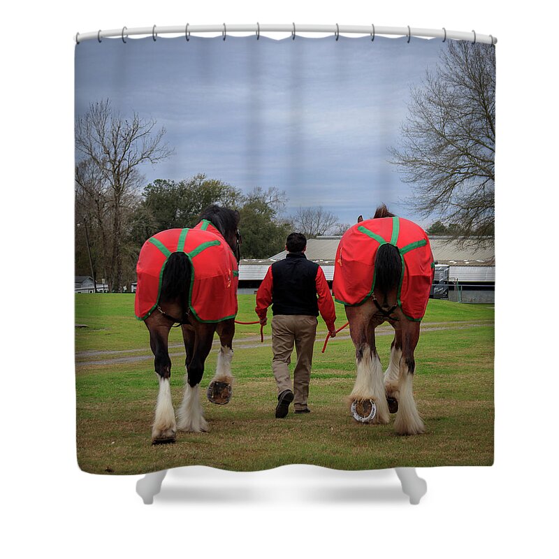 Horse Shower Curtain featuring the photograph Morning Stroll by JASawyer Imaging
