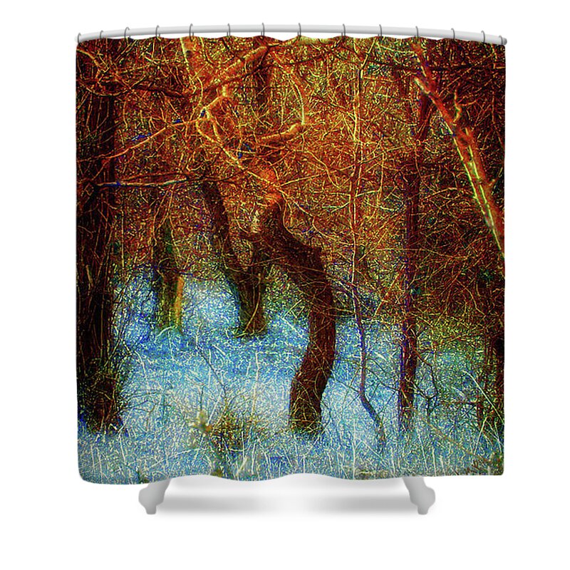 Worship Shower Curtain featuring the photograph Morning Worship by Mimulux Patricia No