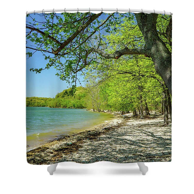 Tree Shower Curtain featuring the photograph Moss Creek Beach by Susan Rydberg