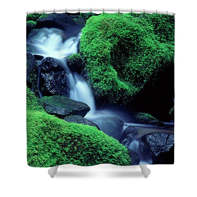 Blurred Motion Shower Curtain featuring the photograph Mossy Stream by Steve Satushek