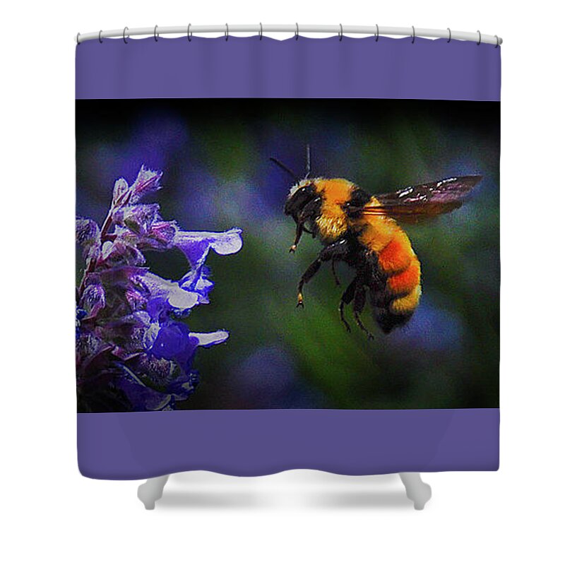 Bumblebee Shower Curtain featuring the digital art Mountain Bumblebee - Colorado by Gene Bollig