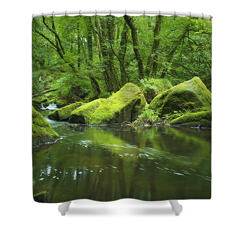 Scenics Shower Curtain featuring the photograph Mountain Stream With Green Rocks by Hiob