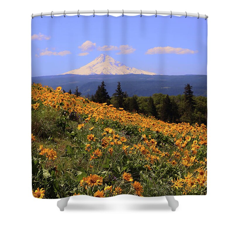Oak Tree Shower Curtain featuring the photograph Mt. Hood, Rowena Crest by Jeanette French
