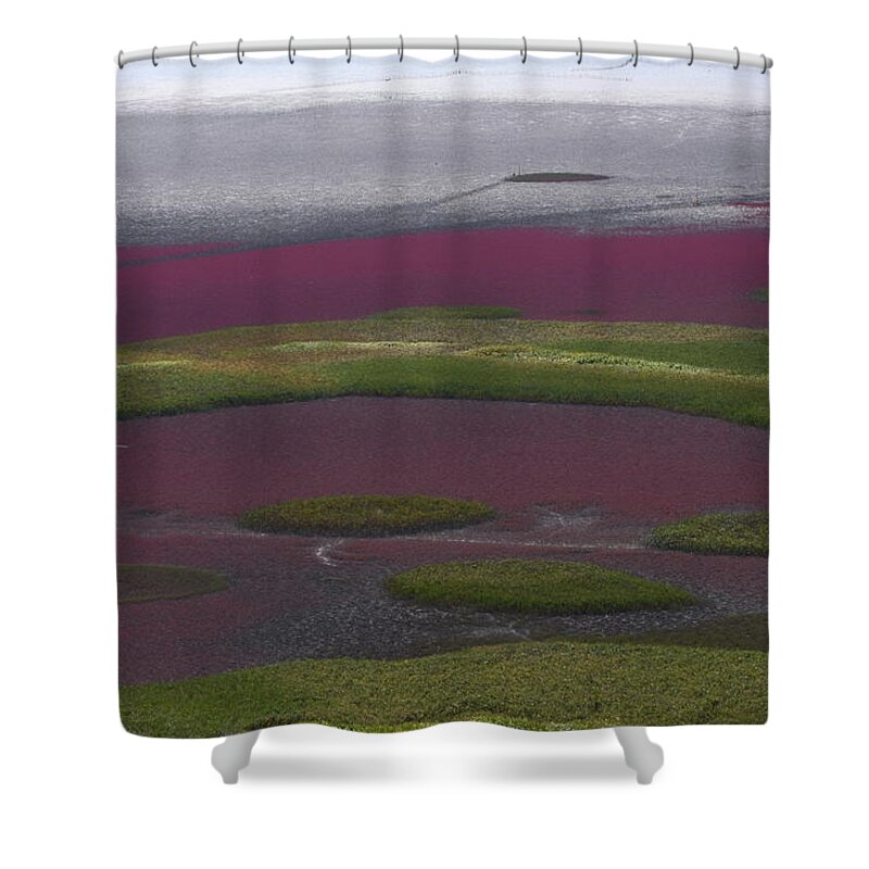 Scenics Shower Curtain featuring the photograph Mud Flats At Suncheon Bay by Photography By Simon Bond
