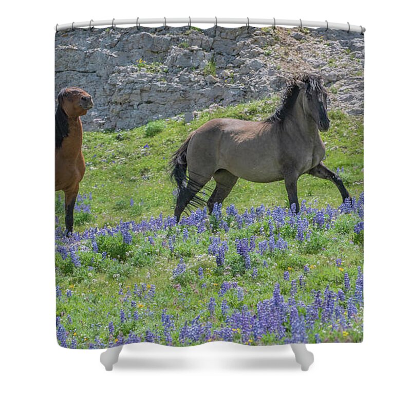 Wild Horses Shower Curtain featuring the photograph Mustang Run by Marcy Wielfaert