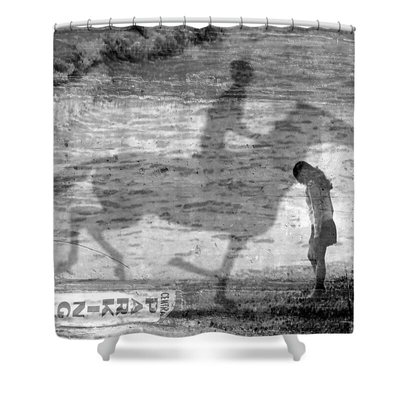 Horse Shower Curtain featuring the photograph Muybridge On The Beach by Richard Stanford