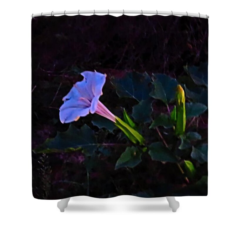Arizona Shower Curtain featuring the photograph Mysterious Moonflower by Judy Kennedy