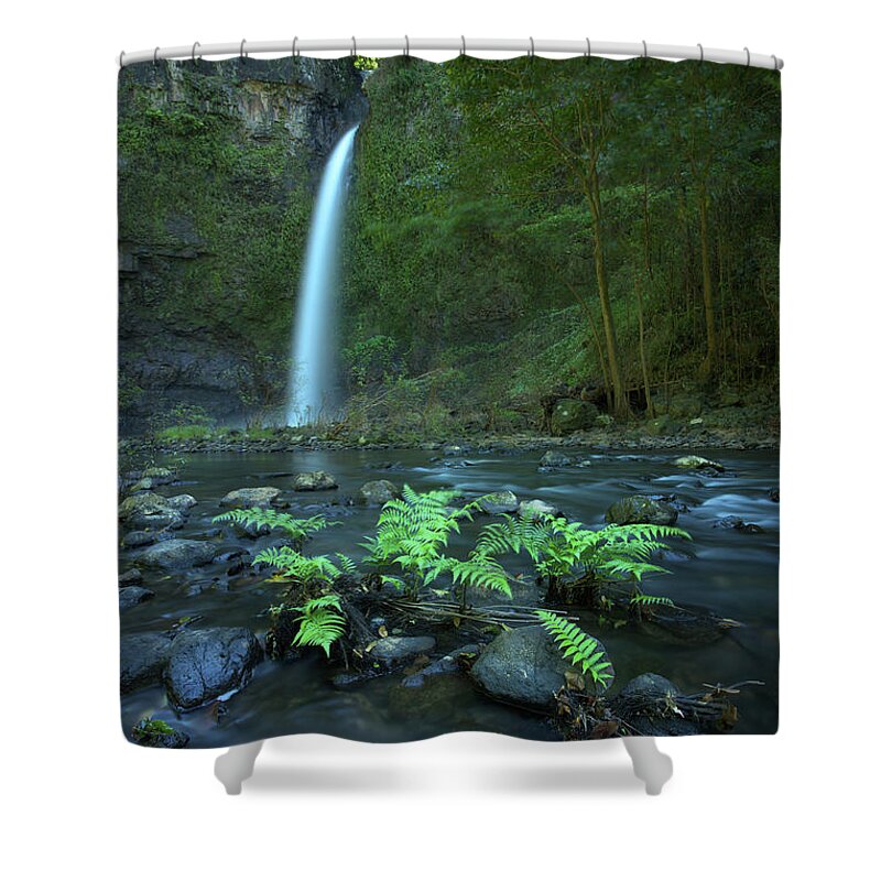 Ancient Shower Curtain featuring the photograph Nandroya Fall by Nicolas Lombard