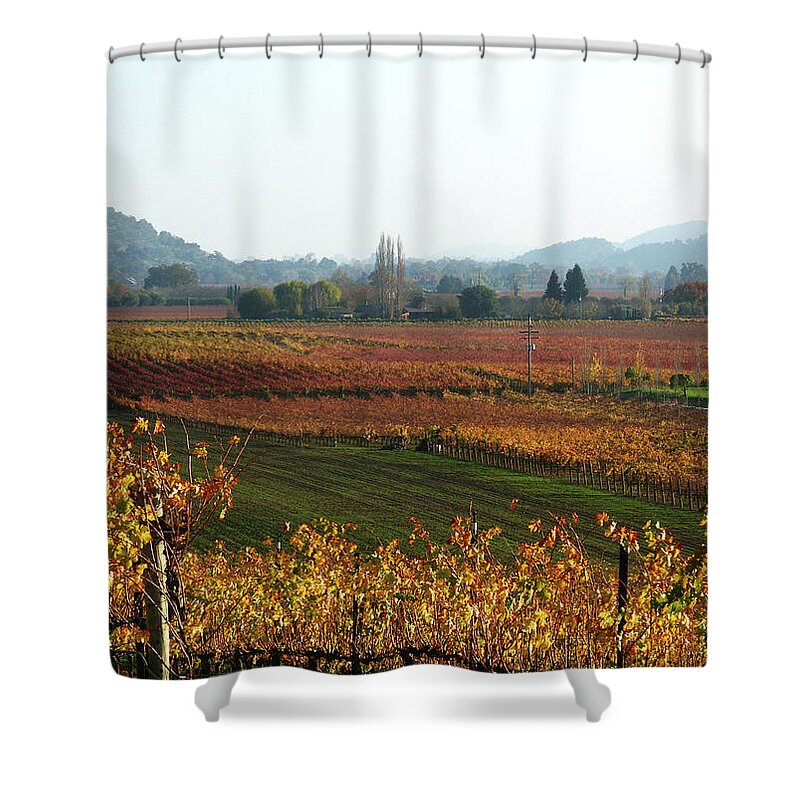 People Shower Curtain featuring the photograph Napa Valley In Autumn by Tjhunt