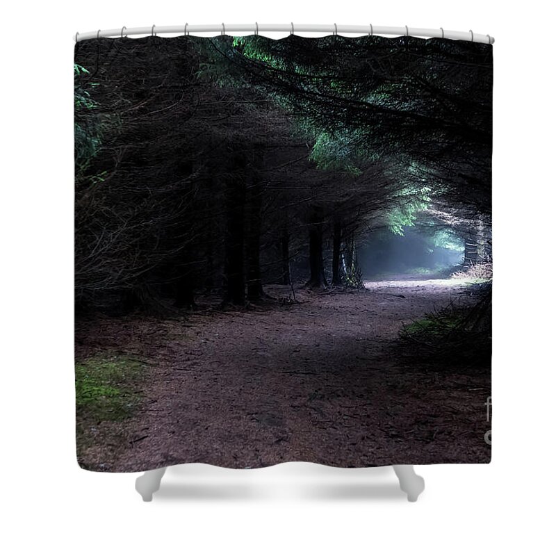Wood Shower Curtain featuring the photograph Narrow Path Through Foggy Mysterious Forest by Andreas Berthold