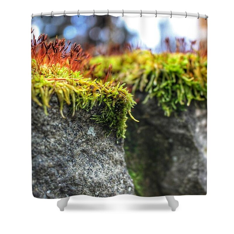 Moss Shower Curtain featuring the photograph Nascent by Christopher Lotito