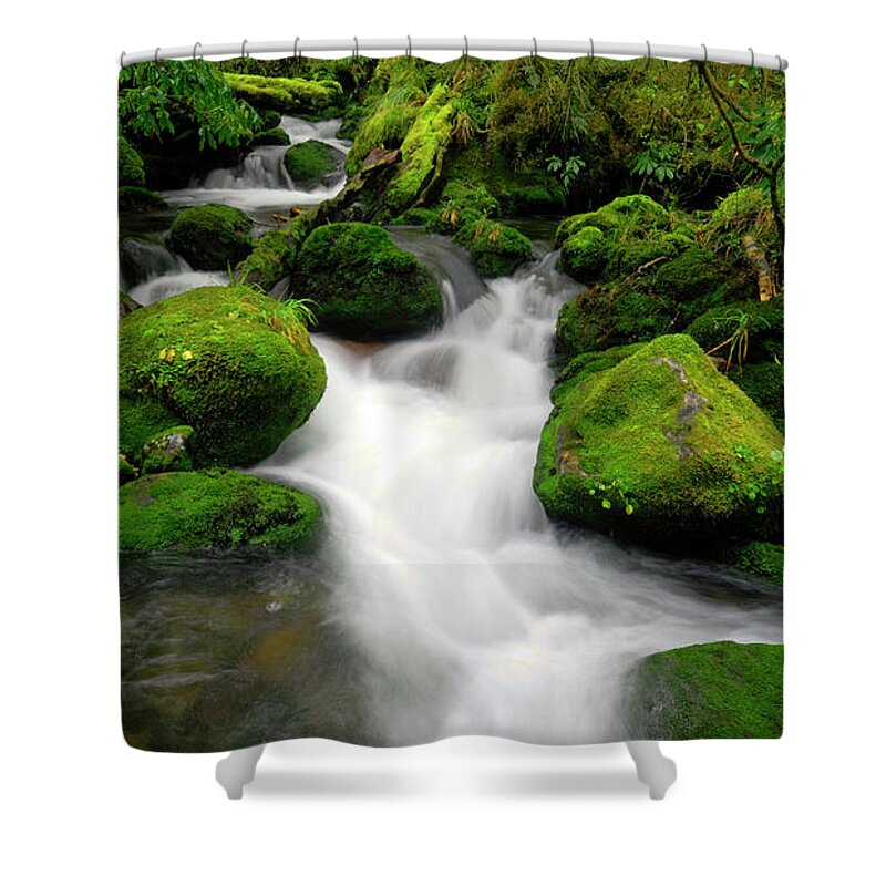 Scenics Shower Curtain featuring the photograph Nature by Rawpixel