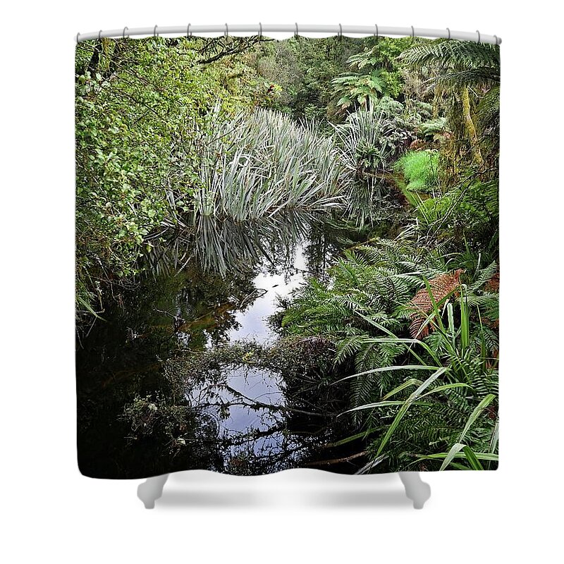 Plant Shower Curtain featuring the photograph Nature reflections by Martin Smith