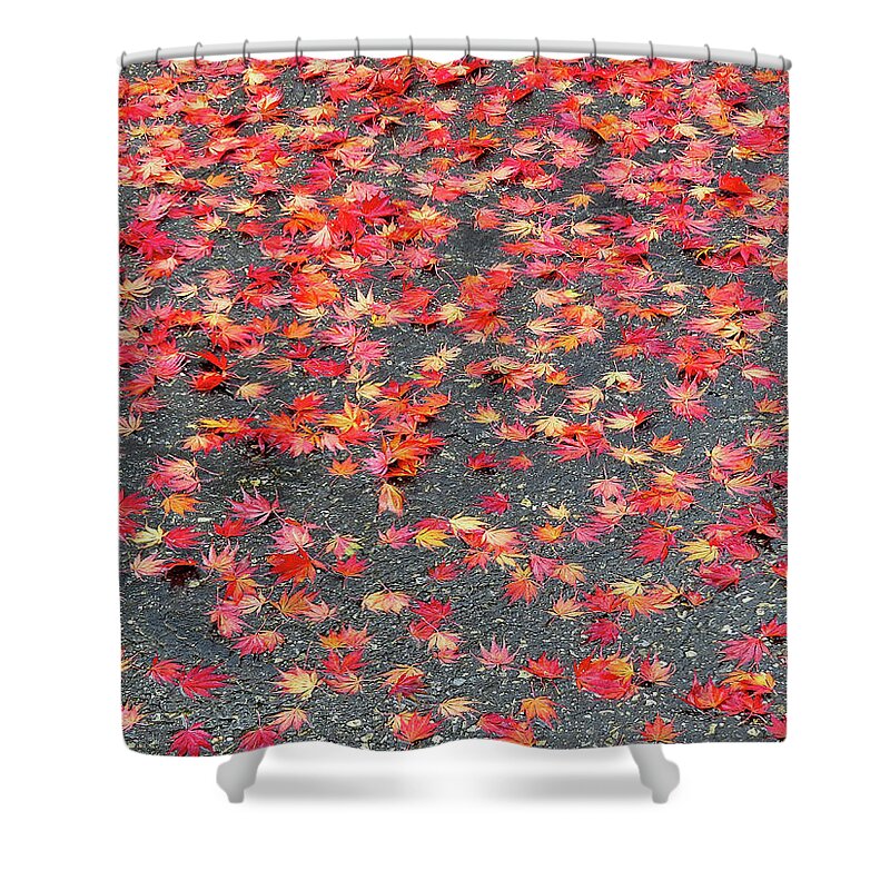 Autumn Shower Curtain featuring the photograph Nature's Confetti by Linda Stern