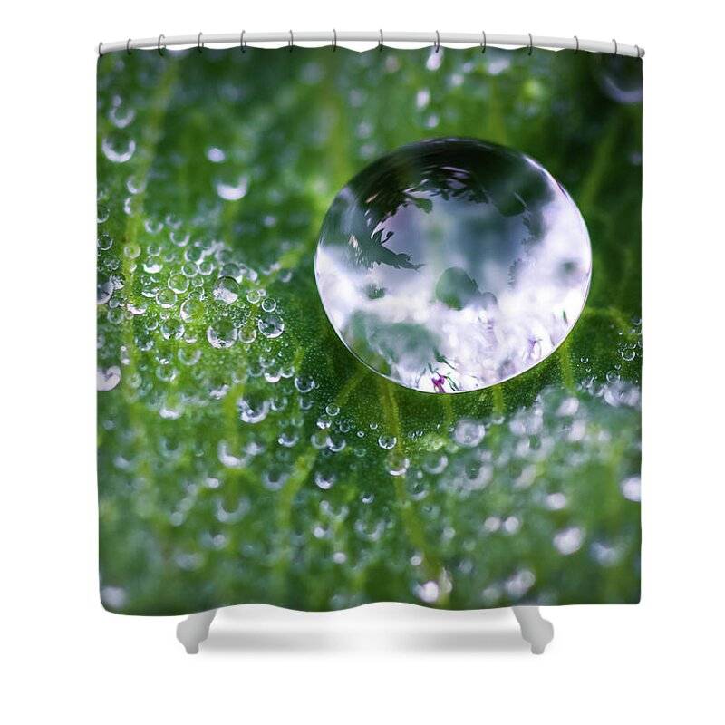 Dew Shower Curtain featuring the photograph Natures Crystal Ball by Brad Bellisle