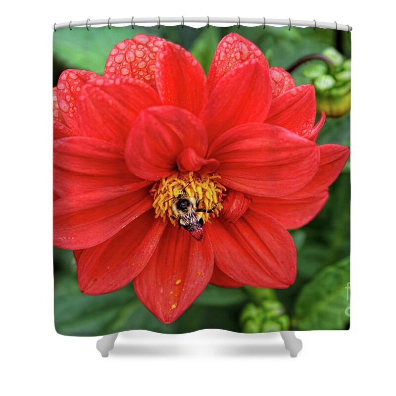 Flower Shower Curtain featuring the photograph Natures Nectar by Joan Bertucci
