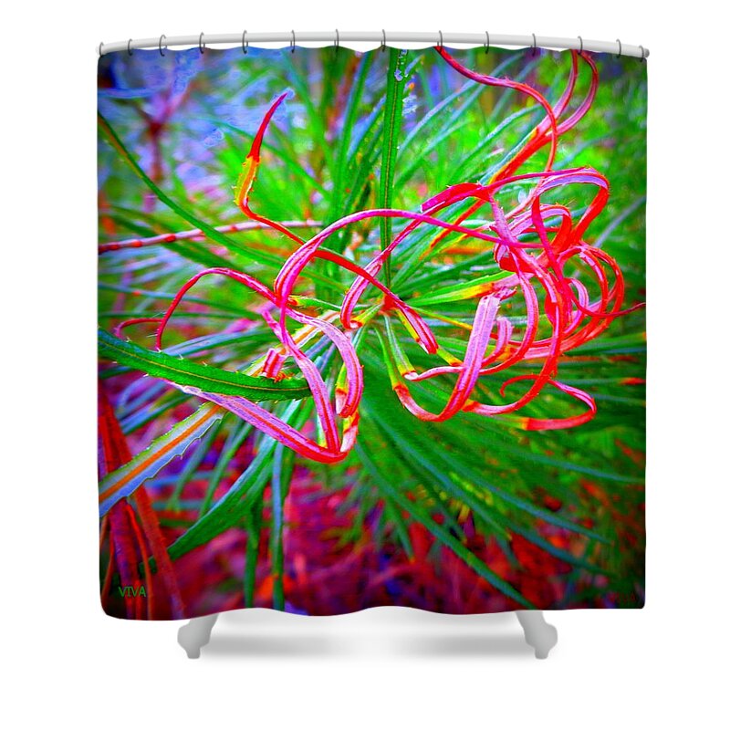 Tendril Shower Curtain featuring the photograph Nature's Ribbons by VIVA Anderson