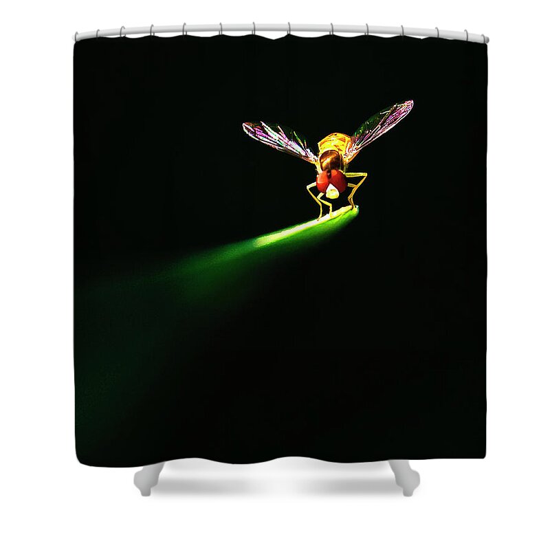 Insect Shower Curtain featuring the photograph Natures Spotlight On An Insect by Vicki Jauron, Babylon And Beyond Photography
