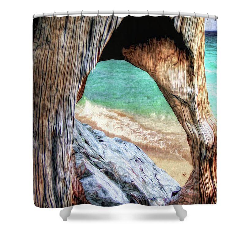 Mountains Shower Curtain featuring the digital art Nature's Window by Pennie McCracken
