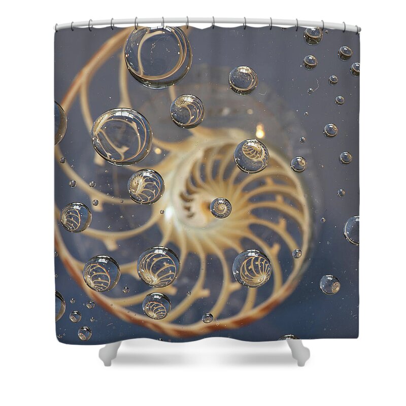 Nautilus Shell Shower Curtain featuring the photograph Nautilus Shell by Minnie Gallman