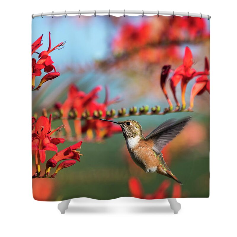 Animals Shower Curtain featuring the photograph Nectar Powered by Robert Potts